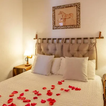 Ninfa By Danlux Invest Holiday home Tossa de Mar